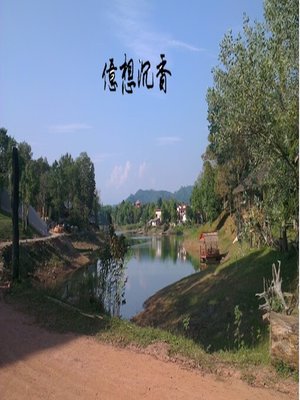 cover image of 【億想沉香】二、讓我們種樹吧!